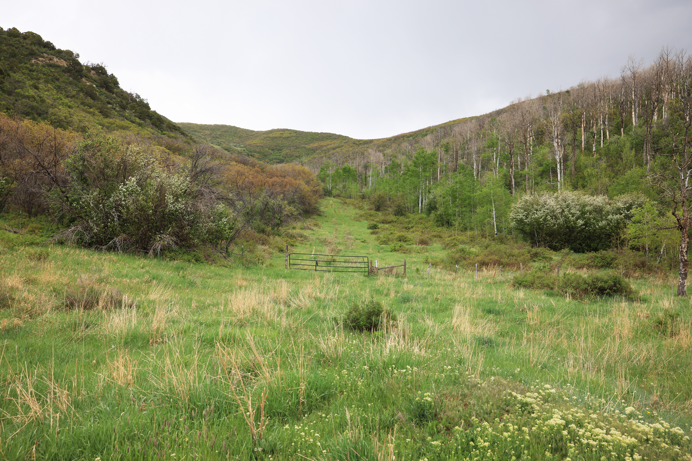 Colorado Recreation and Hunting Property