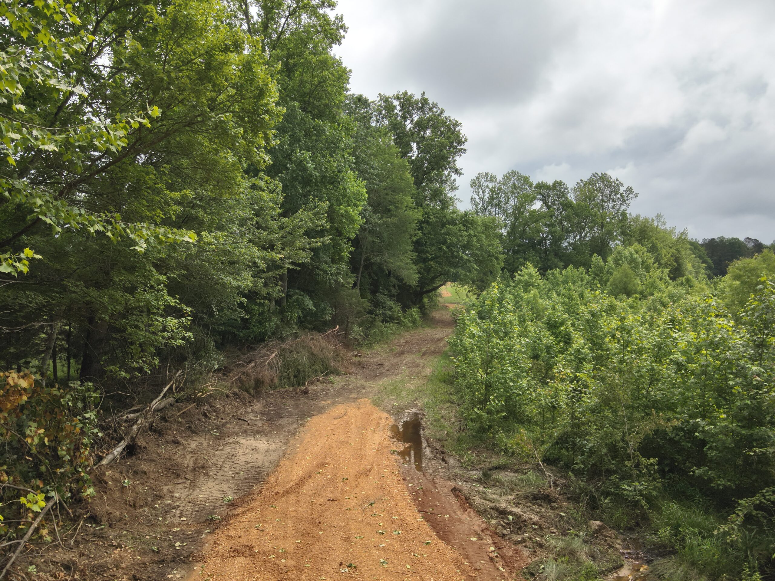 65.84 Acres for Sale in Decaturville, Tennessee