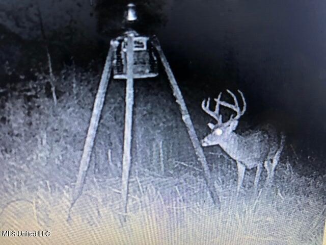 60 Acres For Sale In Yazoo County, MS