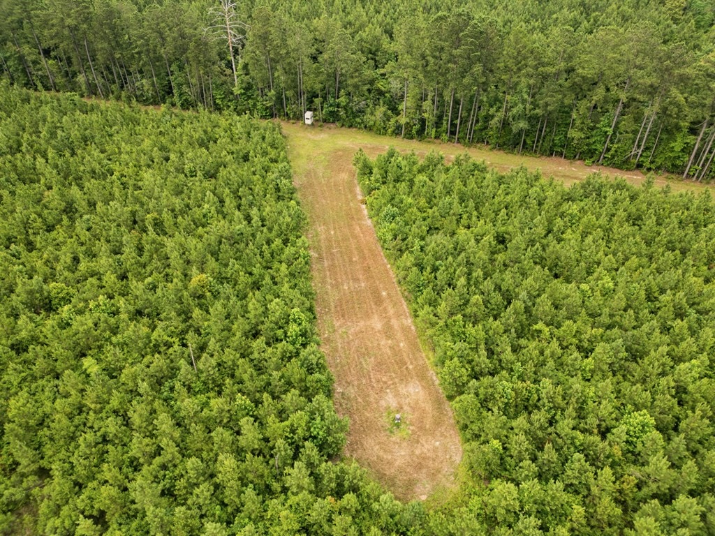 Mississippi Hunting Land – Easy 88 in Magnolia/Osyka
