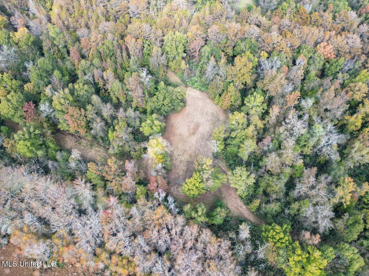 Tensas Parish LA – The Glade Hunting Property