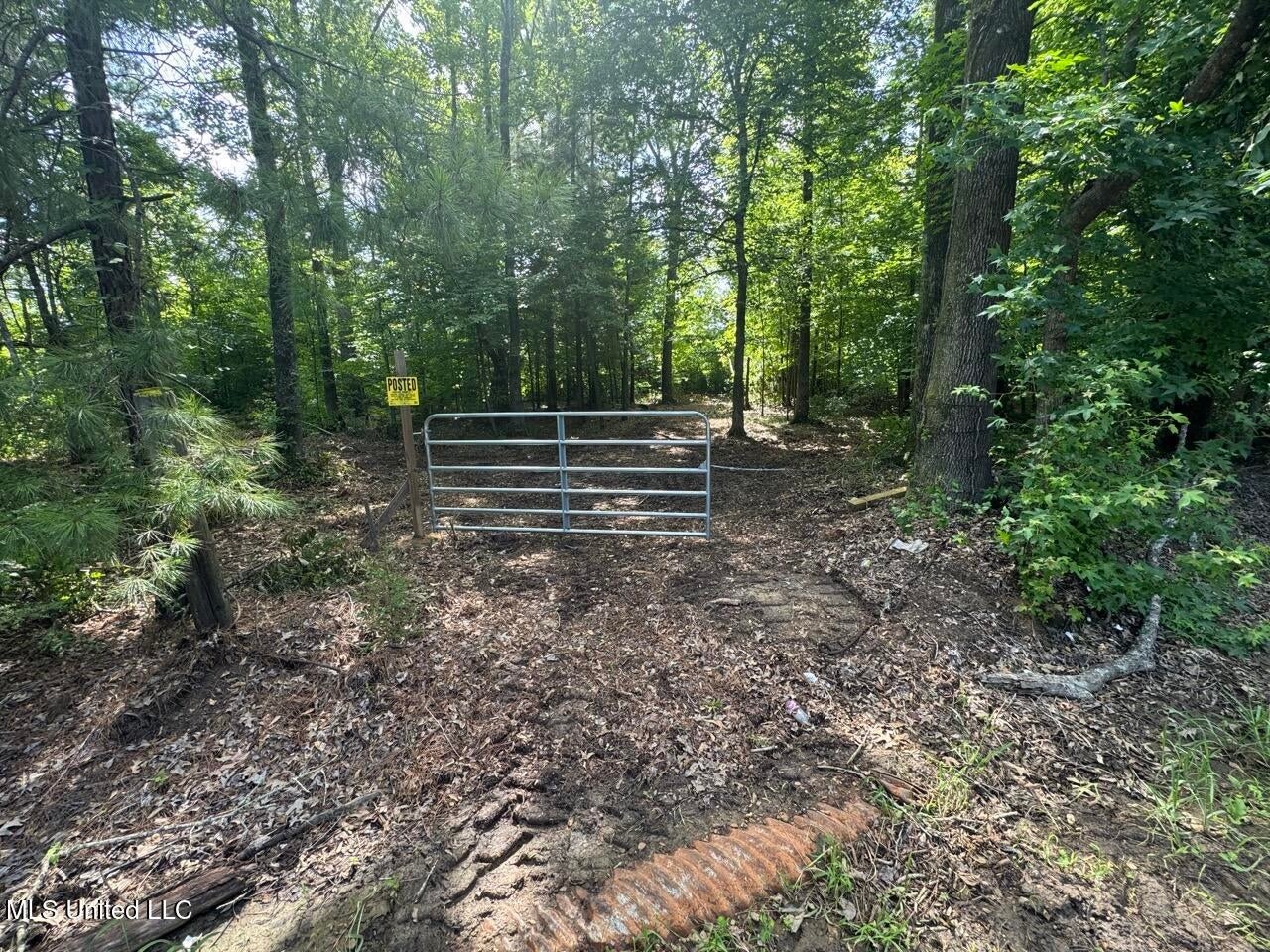 28+- Acres for Sale in Natchez, MS