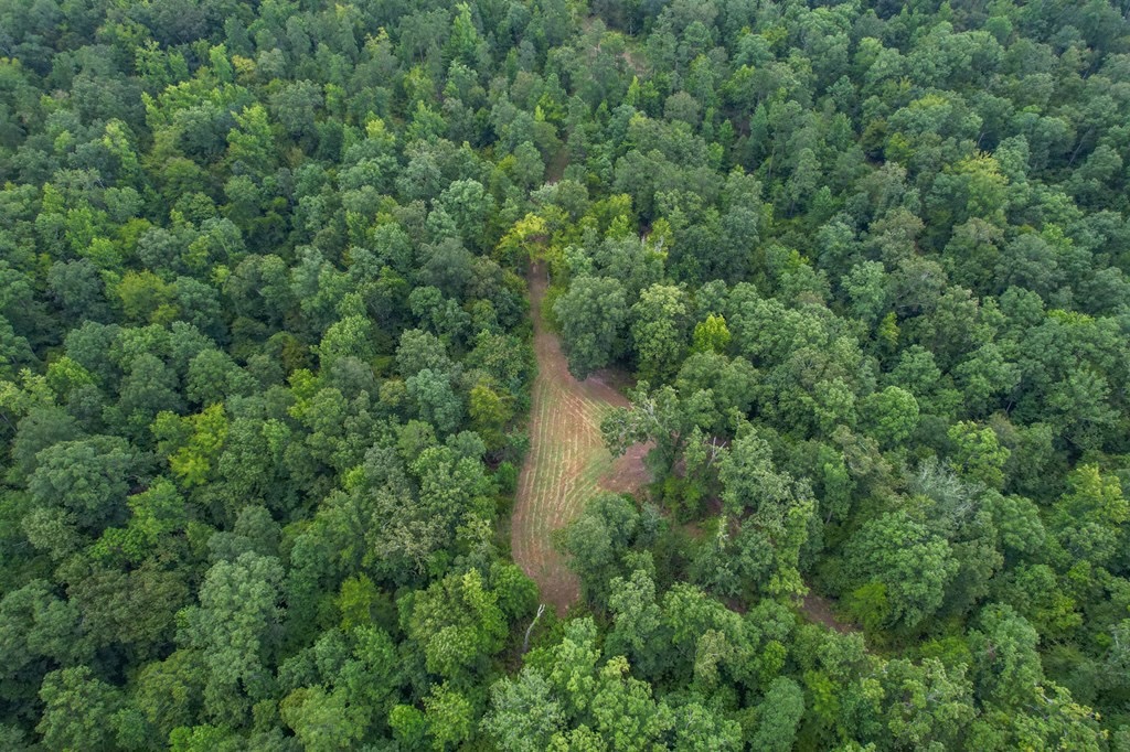 Hunting Land for Sale in Hinds County, MS