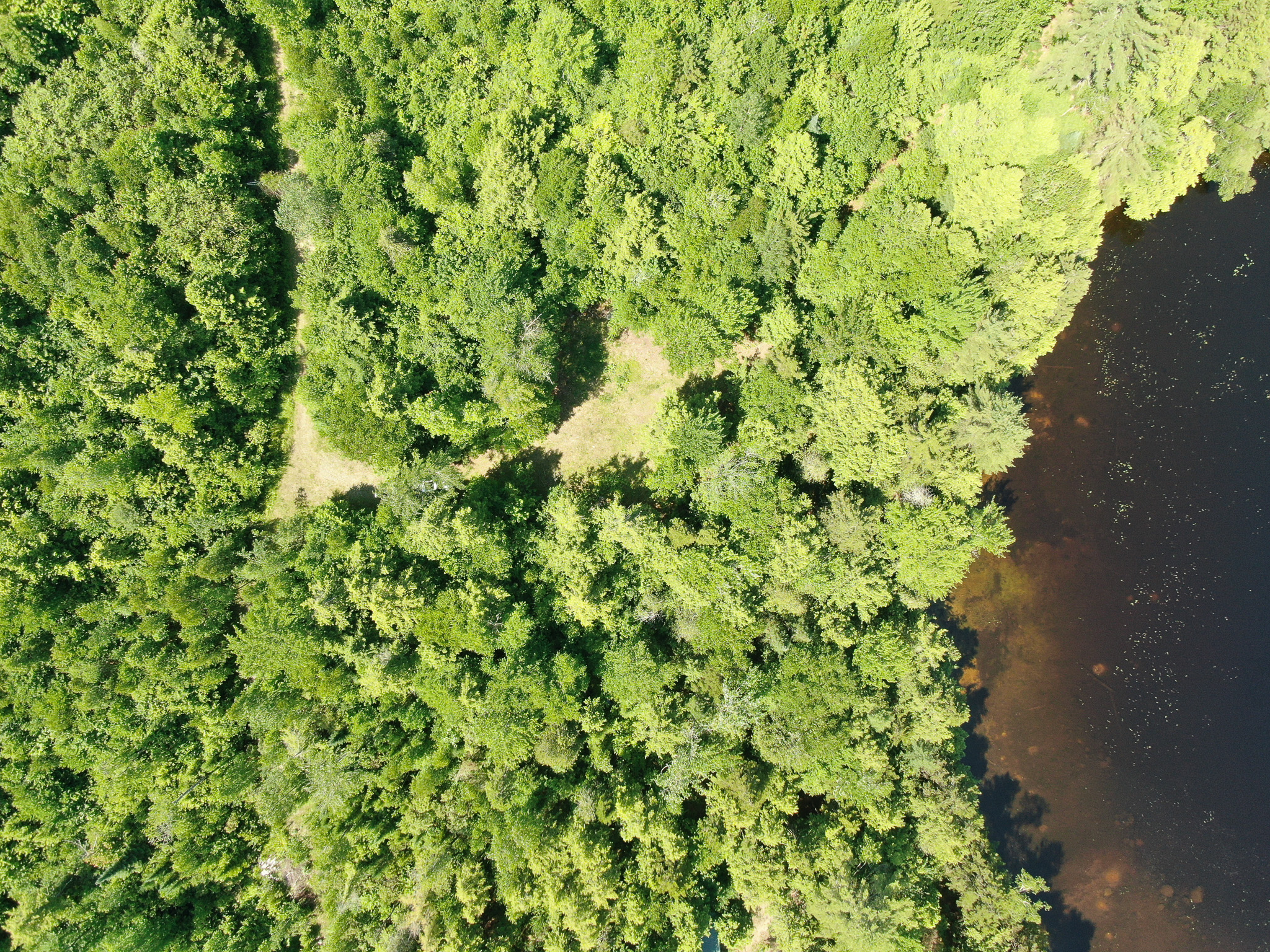 Lakefront Land for Sale – 12.52 Acres with 355 Feet of Shoreline