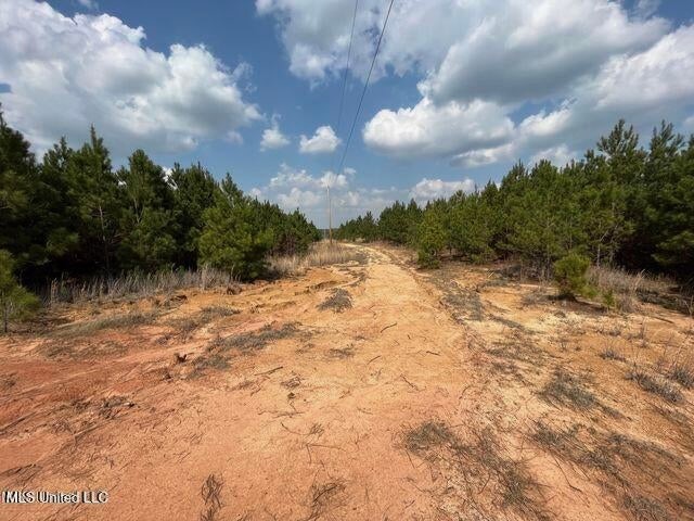 52 Acre Homesite Madison County Camden, MS