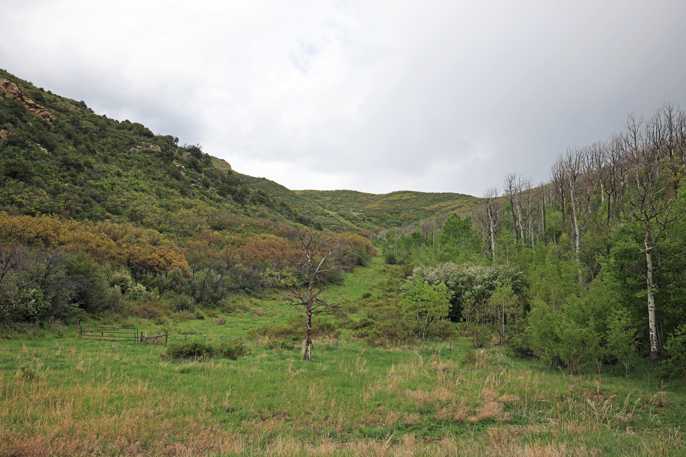 Colorado Recreation and Hunting Property