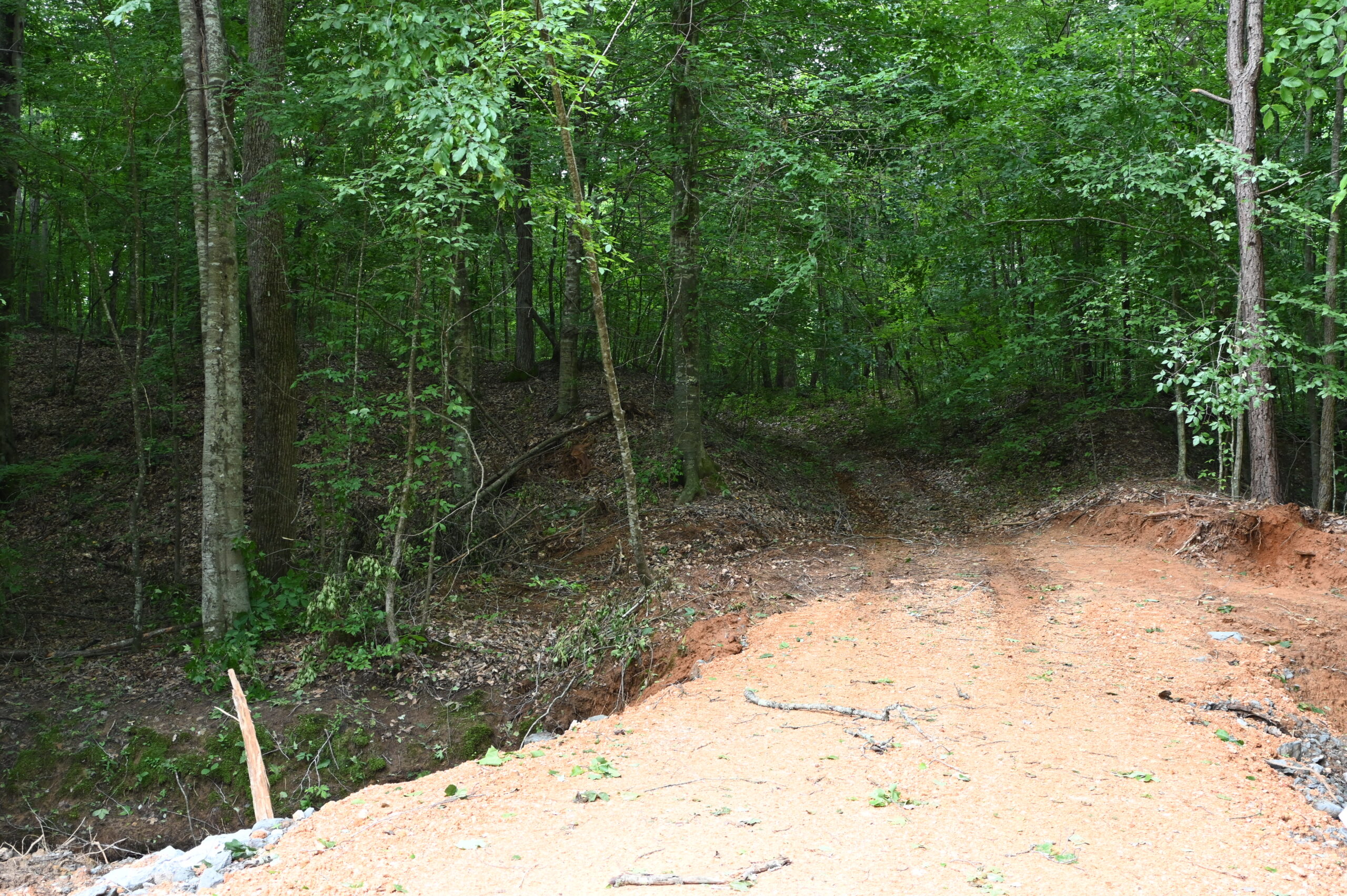 65.84 Acres for Sale in Decaturville, Tennessee