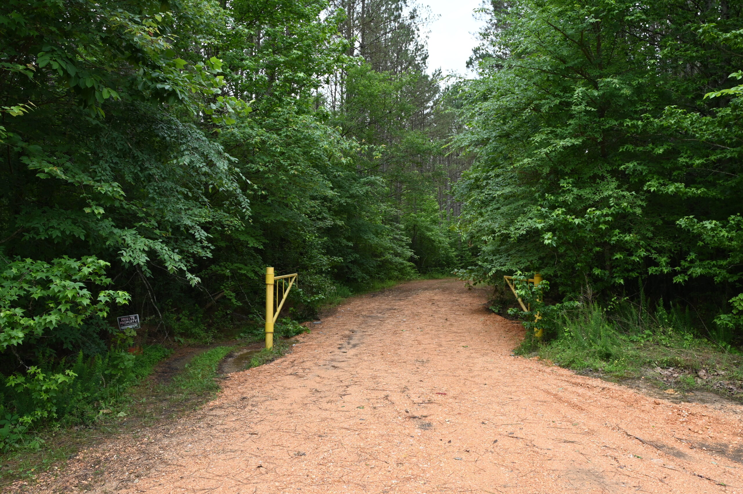 65.84 Acres for Sale in Decaturville, Tennessee