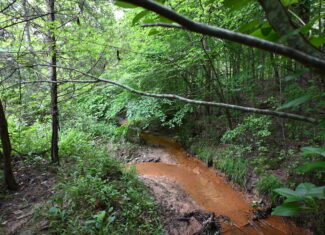 65.84 Acres for Sale in Decaturville, Tennessee