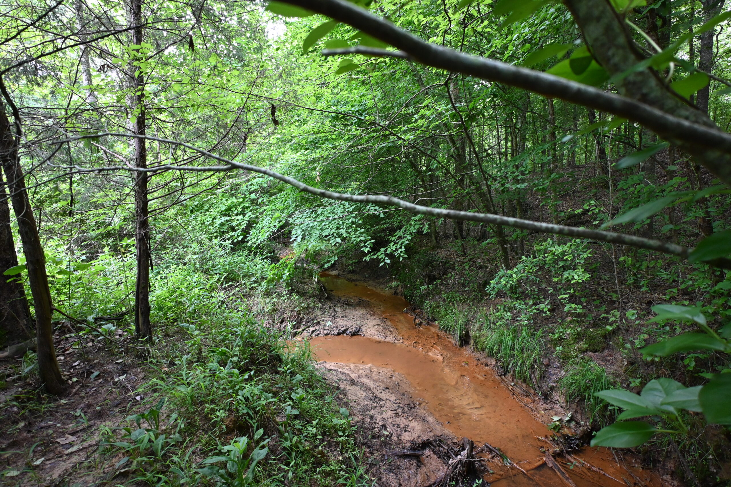 65.84 Acres for Sale in Decaturville, Tennessee