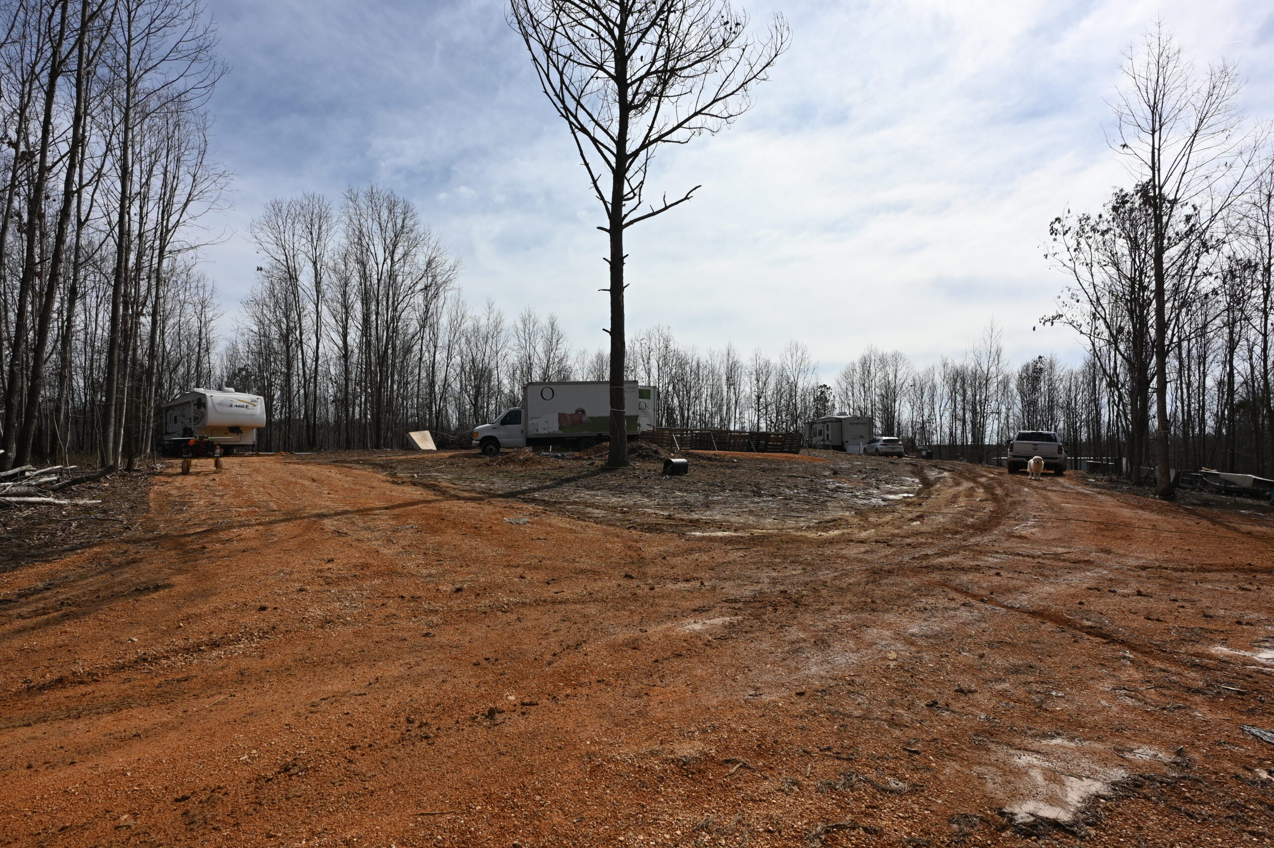 12.33 Acres Land for Sale in Perry County, Tennessee