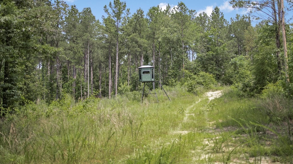 345 Acres with Camp, Creek bordering National Forest in SWMS
