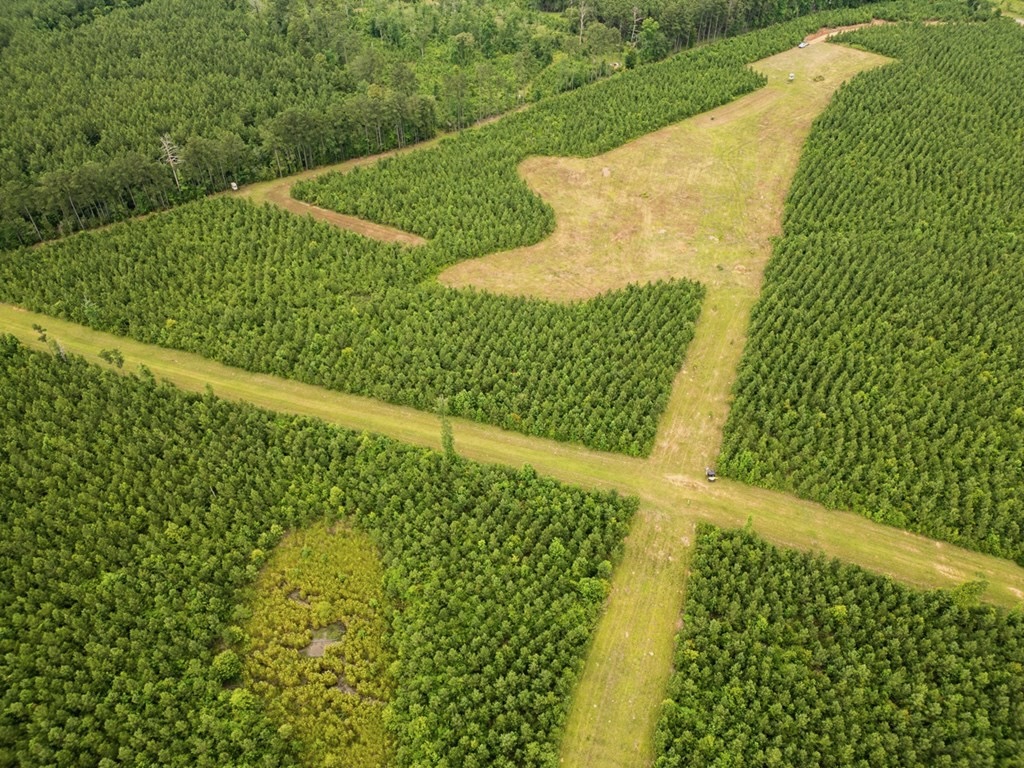 Mississippi Hunting Land – Easy 88 in Magnolia/Osyka