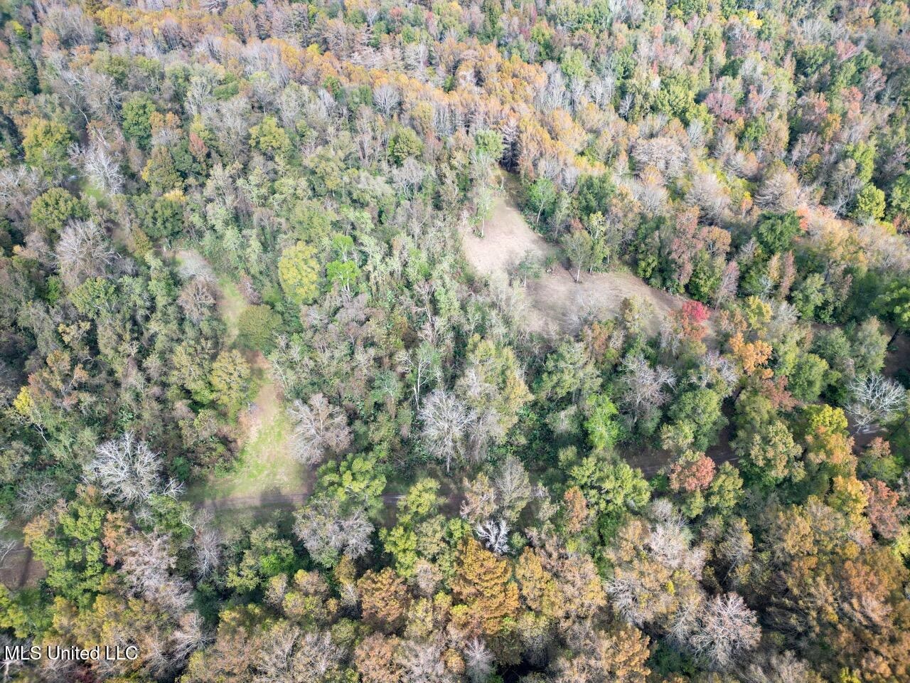 Tensas Parish LA – The Glade Hunting Property