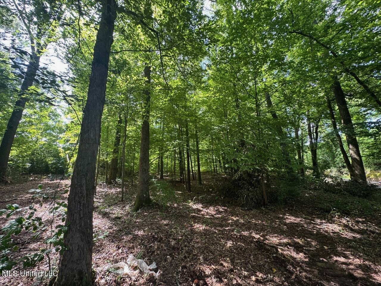 28+- Acres for Sale in Natchez, MS