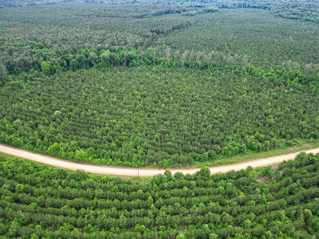 Hunting Land in Morehouse Parish, LA – Cypress Bayou 85