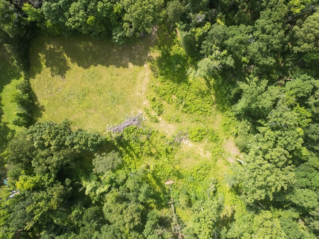 Clinton 30 Acres for Sale – Rural Land Near Baton Rouge, LA