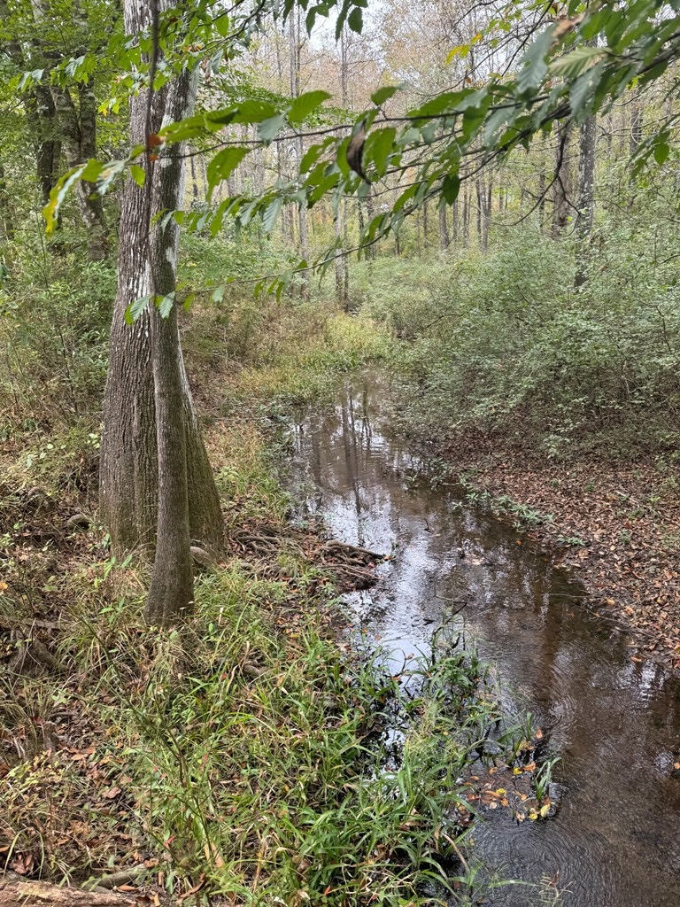 Land on the Tangipahoa River in Pike County, MS