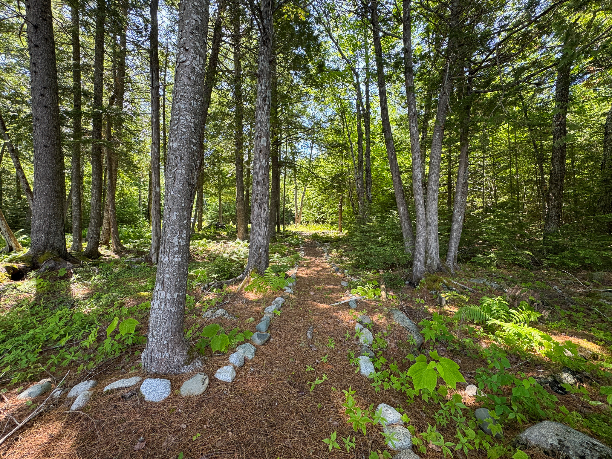 Lakefront Land for Sale – 12.52 Acres with 355 Feet of Shoreline