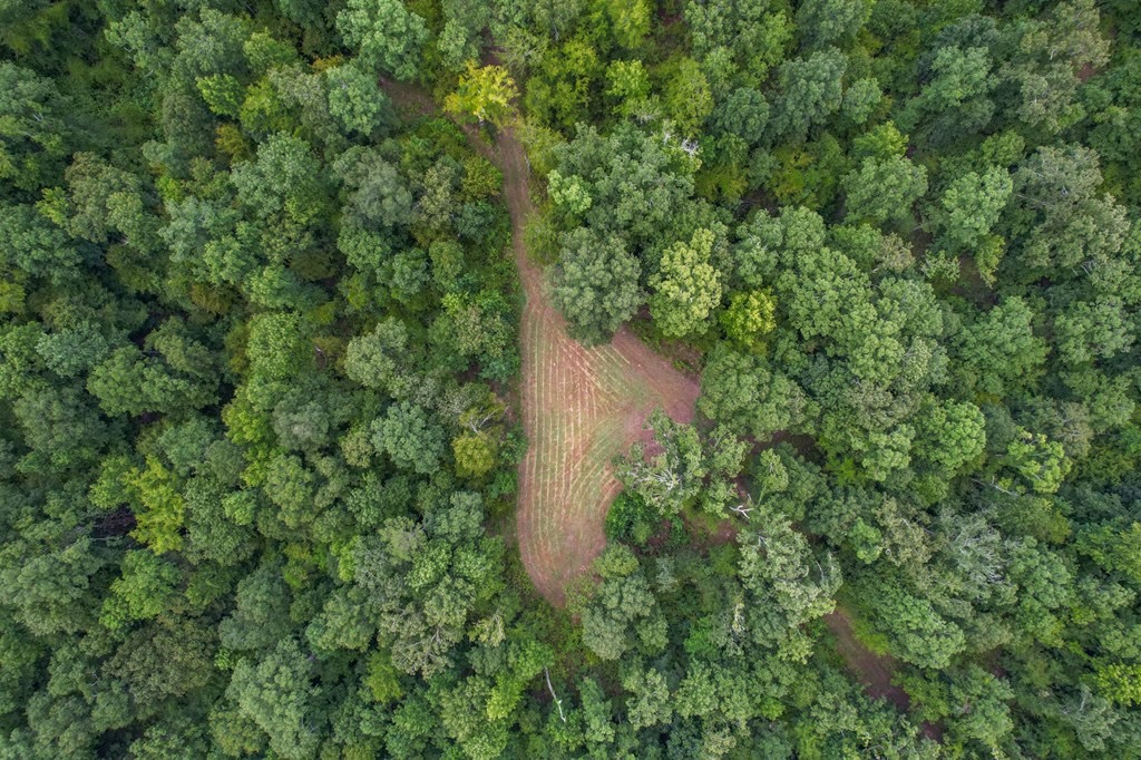 Hunting Land for Sale in Hinds County, MS