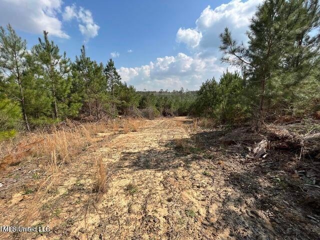52 Acre Homesite Madison County Camden, MS