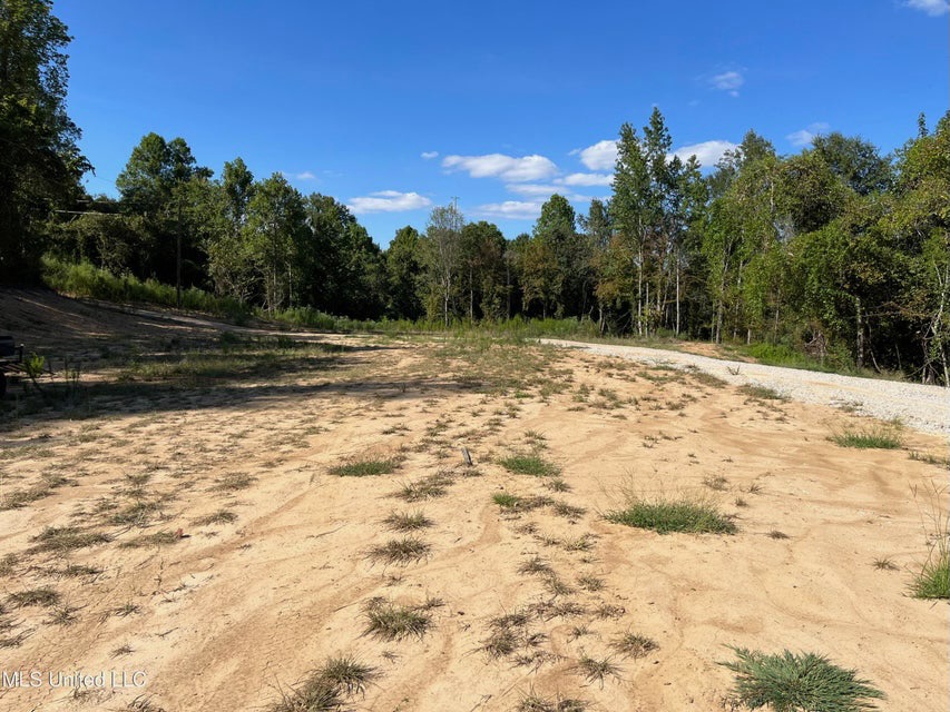 60 Acres For Sale In Yazoo County, MS