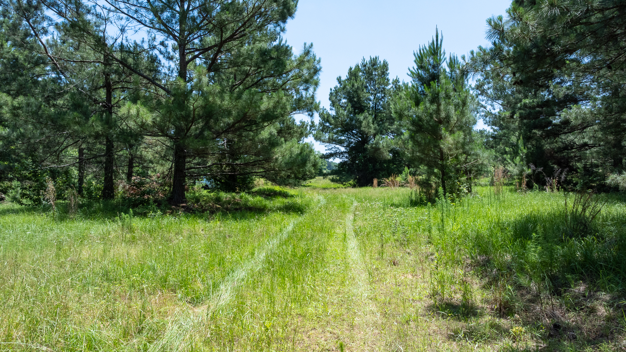East Texas Recreational Ranch Winona TX East of DFW