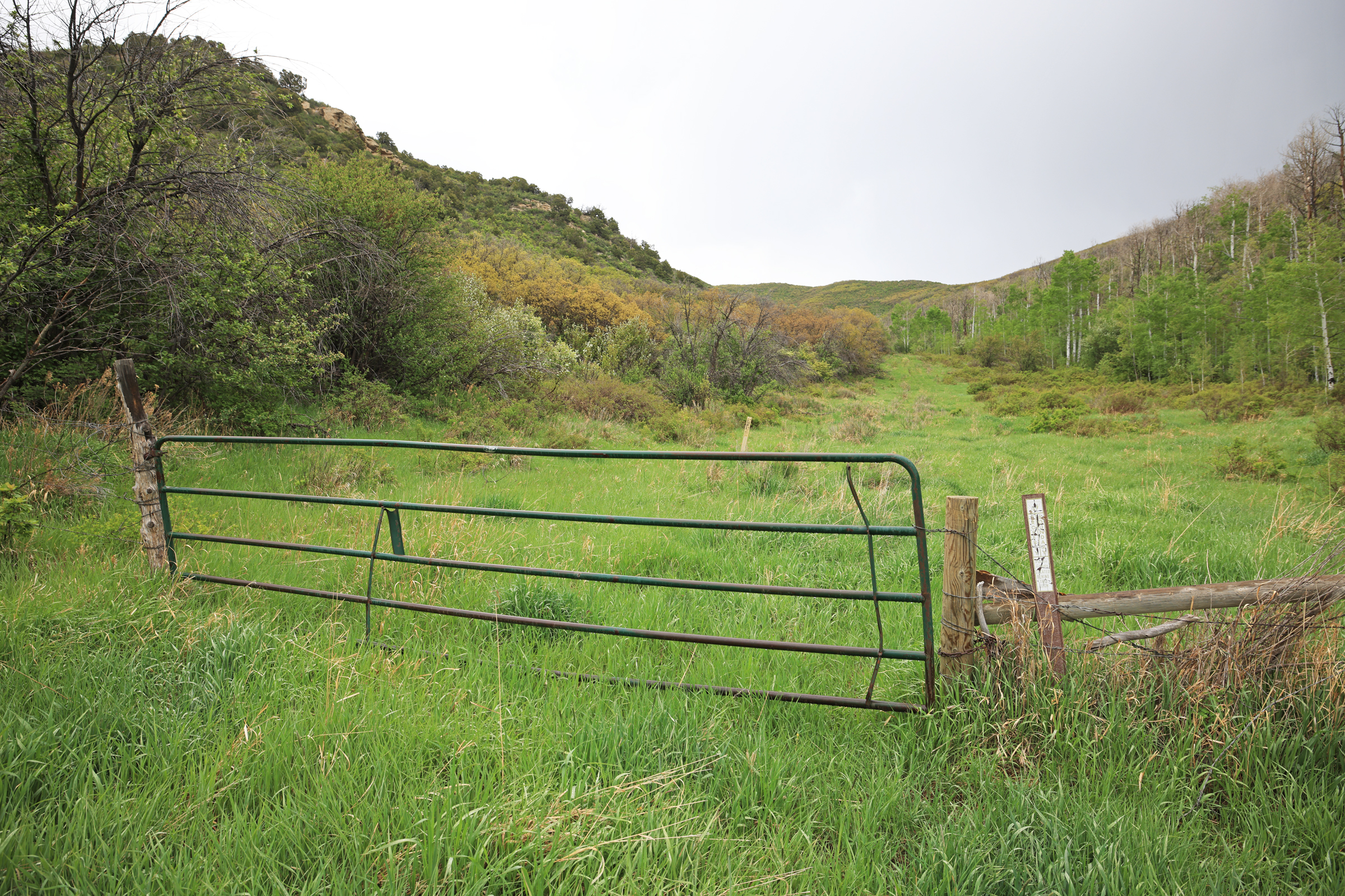 Colorado Recreation and Hunting Property