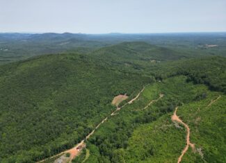 Discover Your Perfect Retreat in Virginia’s Scenic Piedmont