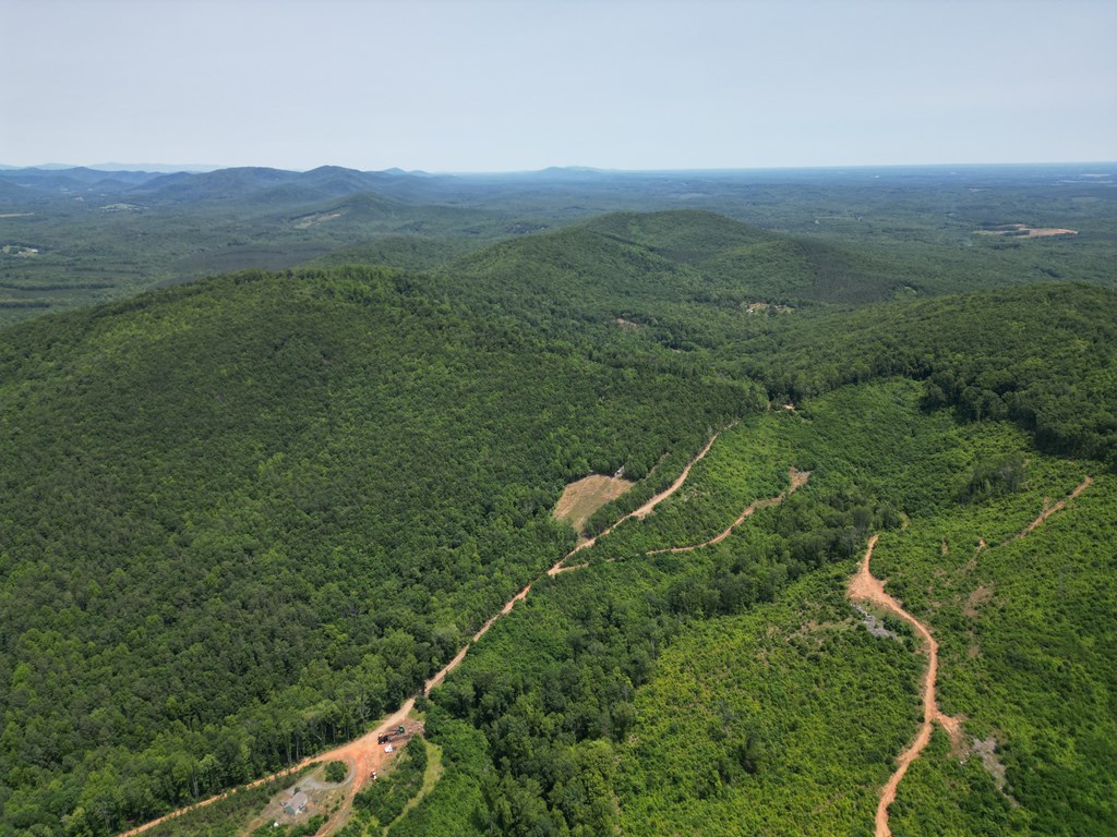 Discover Your Perfect Retreat in Virginia’s Scenic Piedmont