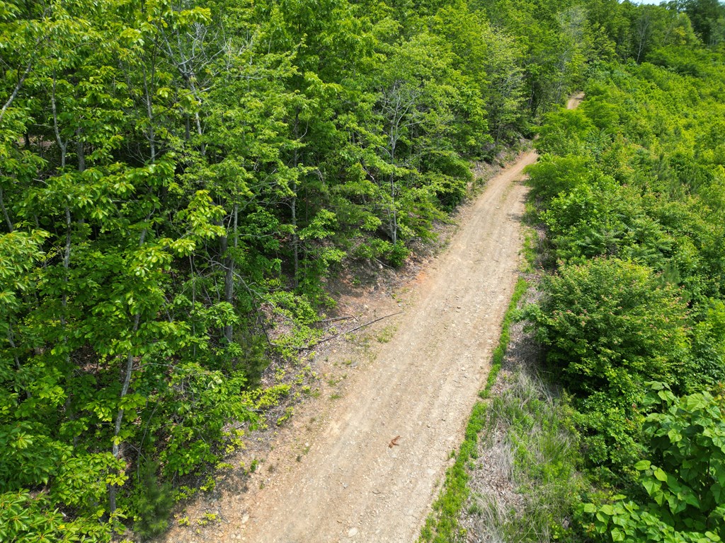 Discover Your Perfect Retreat in Virginia’s Scenic Piedmont