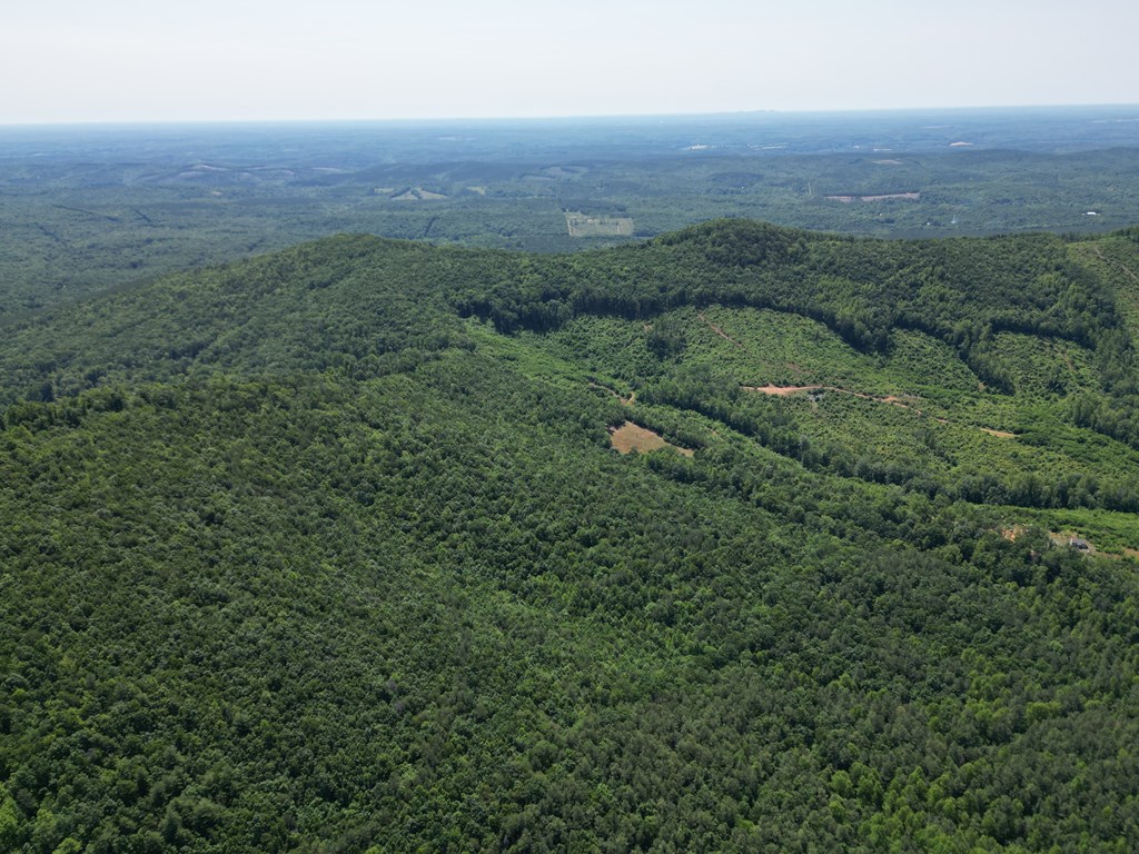 Discover Your Perfect Retreat in Virginia’s Scenic Piedmont