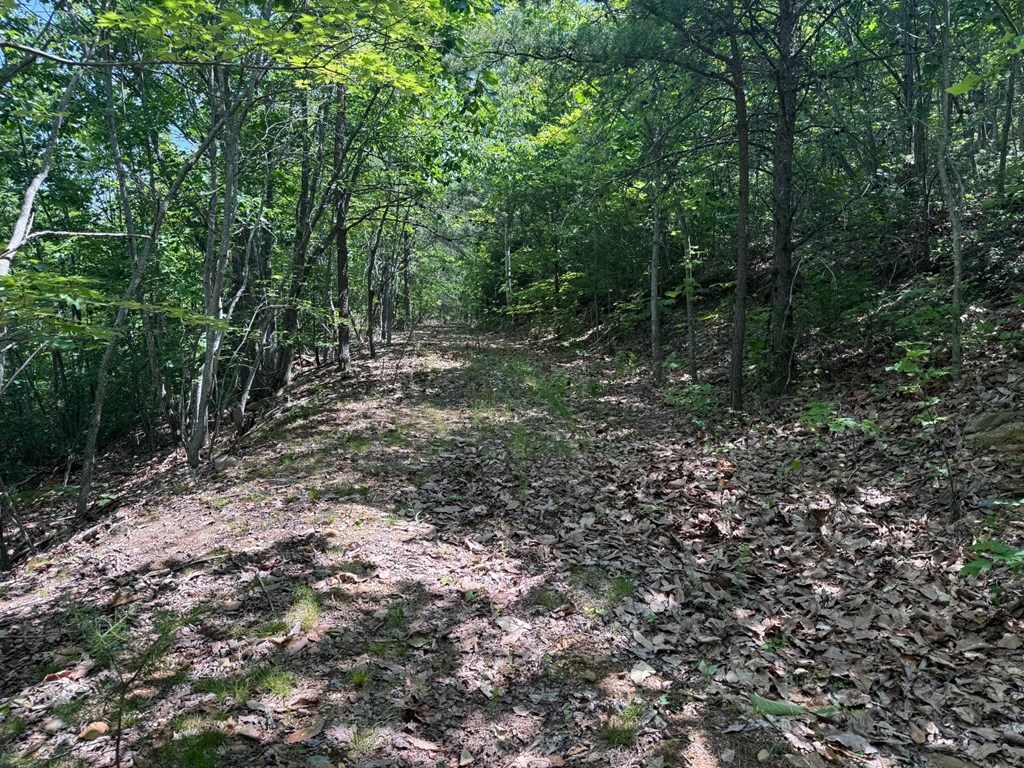 Discover Your Perfect Retreat in Virginia’s Scenic Piedmont