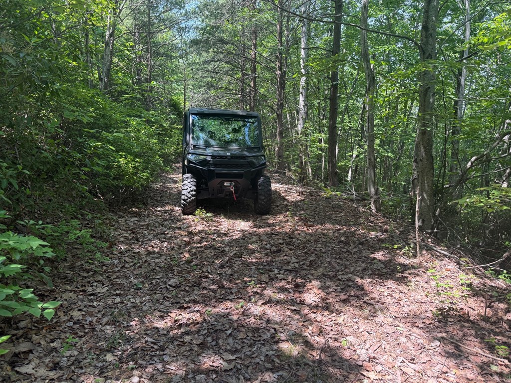 Discover Your Perfect Retreat in Virginia’s Scenic Piedmont
