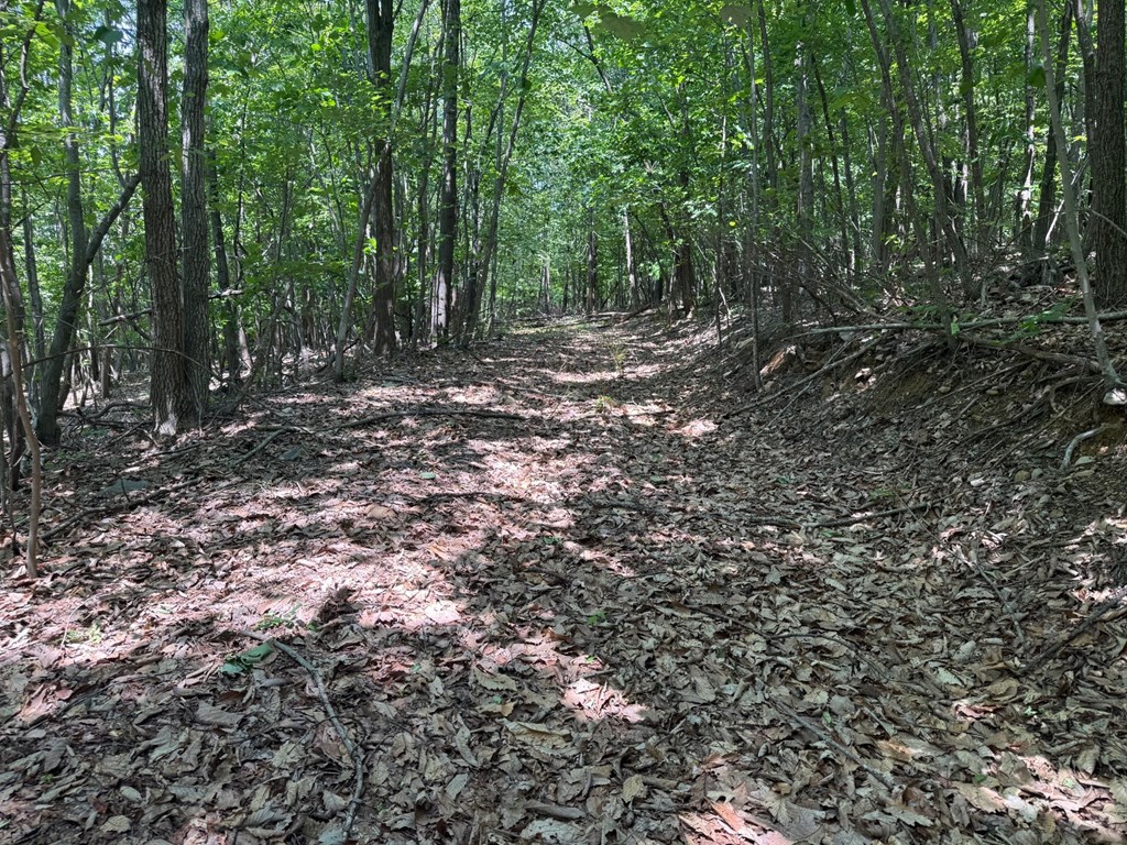 Discover Your Perfect Retreat in Virginia’s Scenic Piedmont