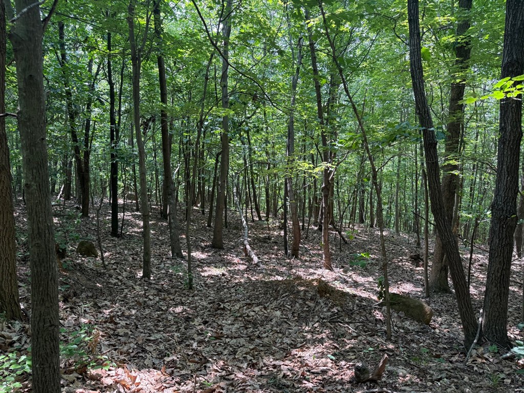 Discover Your Perfect Retreat in Virginia’s Scenic Piedmont
