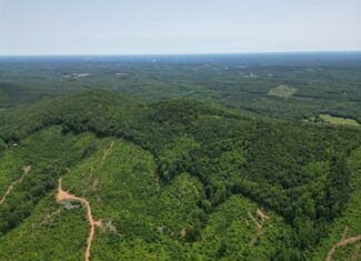 Discover Your Perfect Retreat in Virginia’s Scenic Piedmont