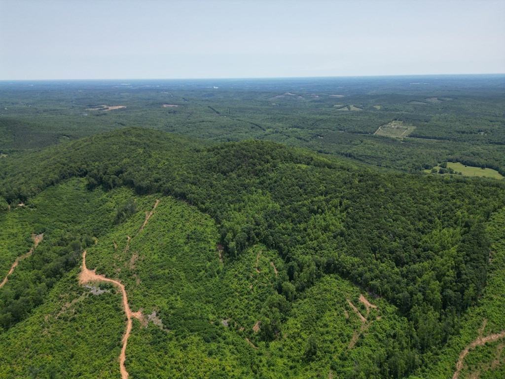 Discover Your Perfect Retreat in Virginia’s Scenic Piedmont