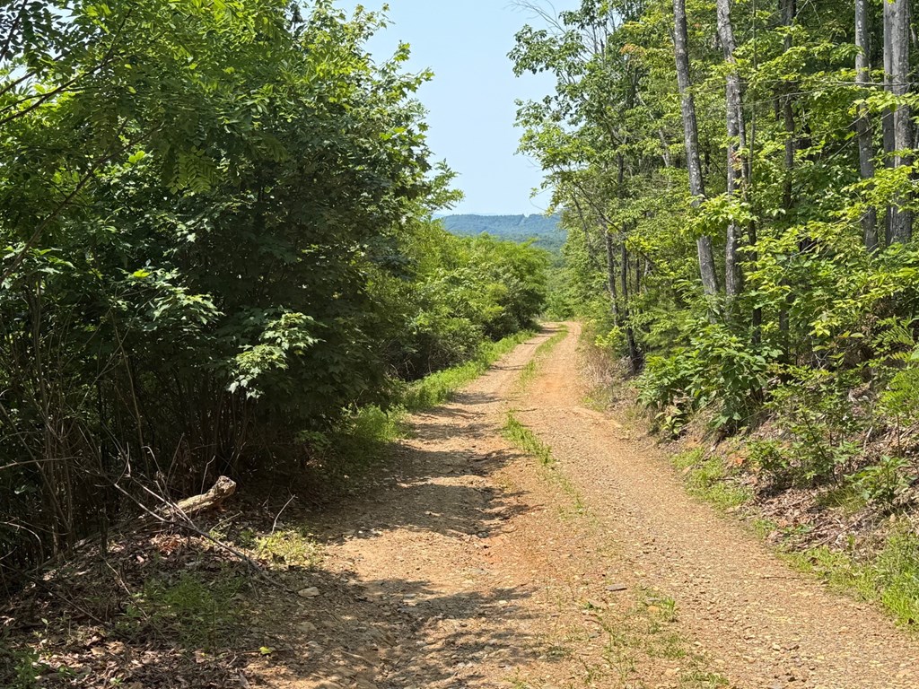 Discover Your Perfect Retreat in Virginia’s Scenic Piedmont