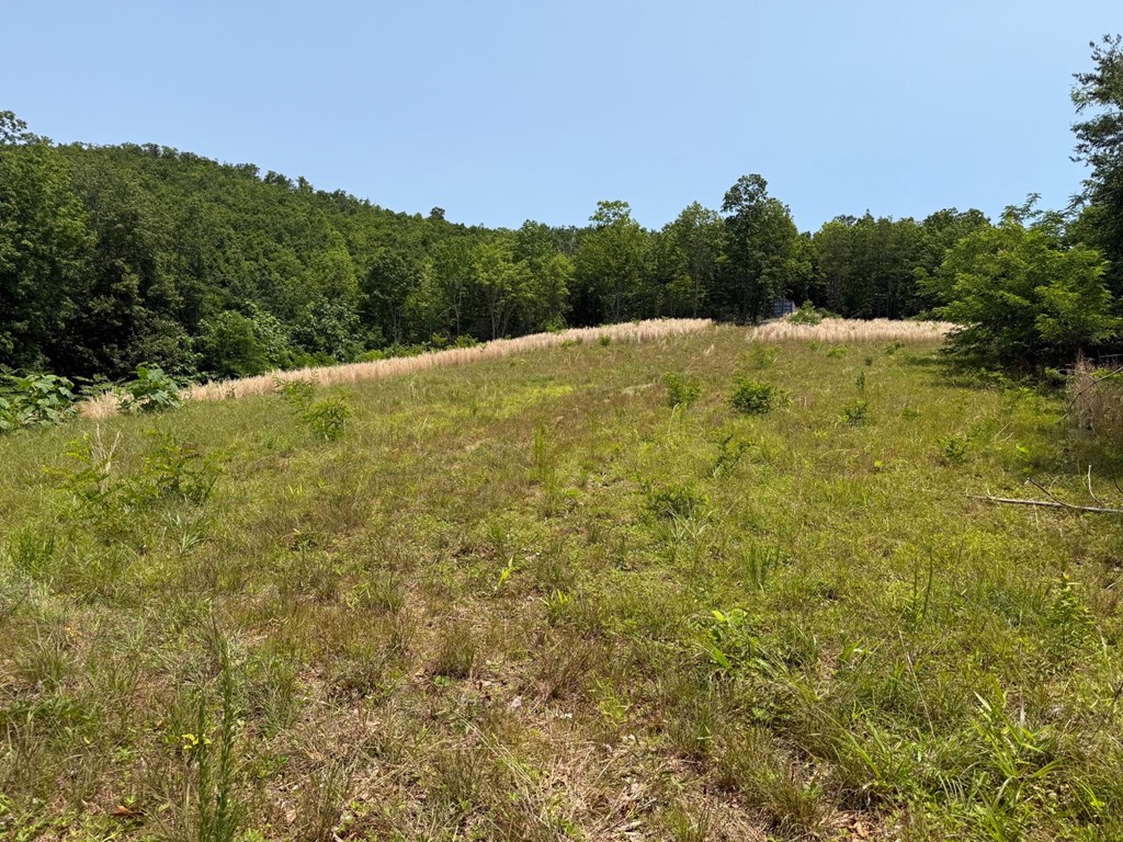 Discover Your Perfect Retreat in Virginia’s Scenic Piedmont