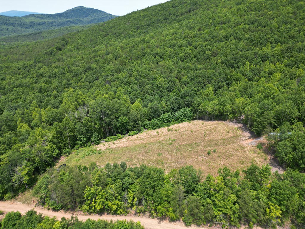 Discover Your Perfect Retreat in Virginia’s Scenic Piedmont