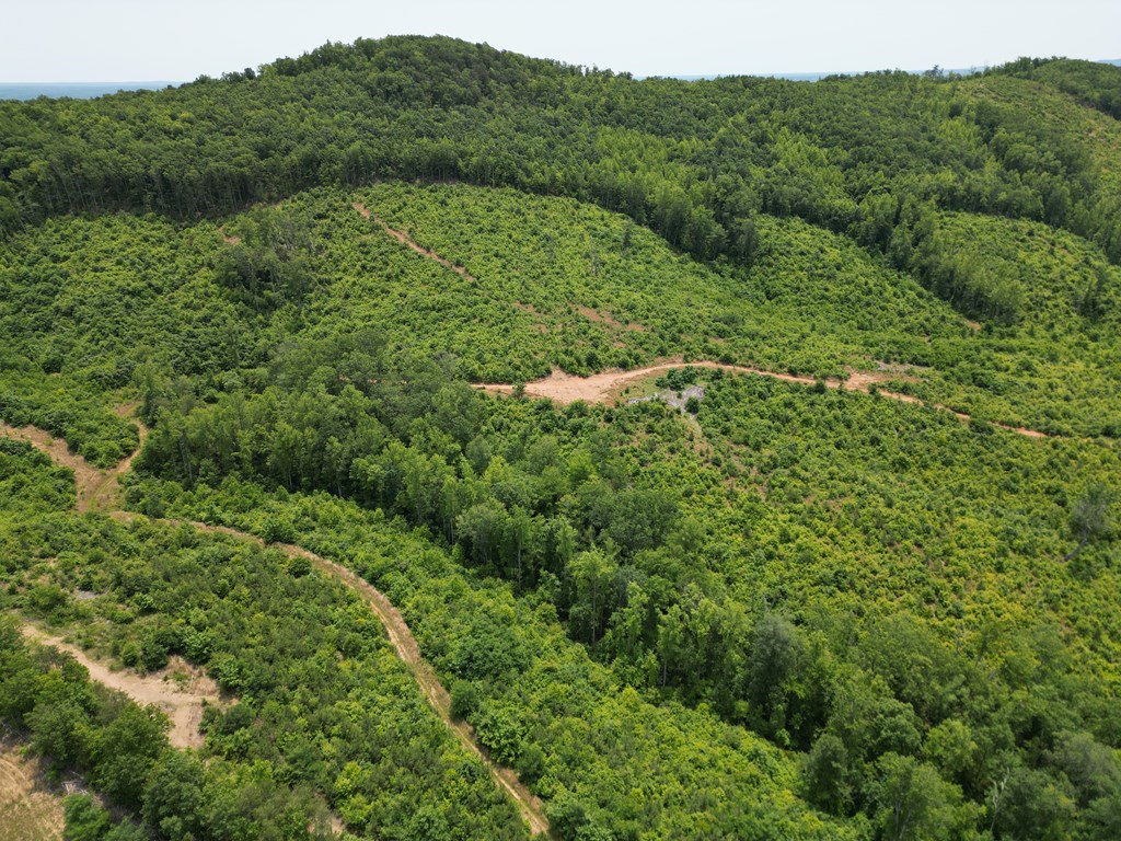 Discover Your Perfect Retreat in Virginia’s Scenic Piedmont