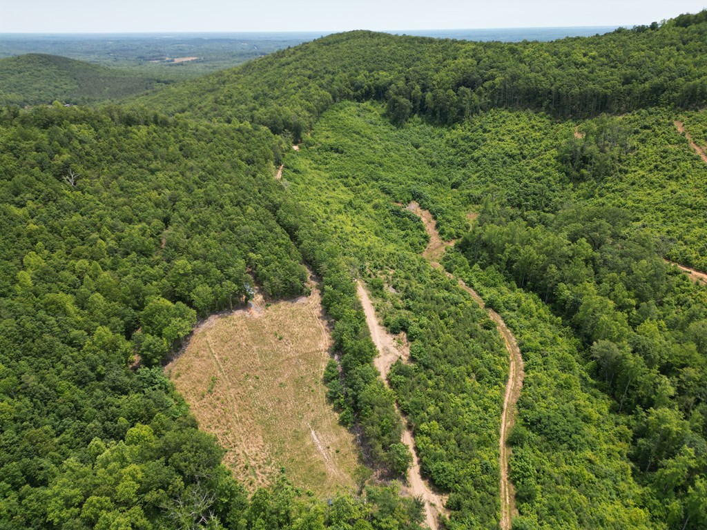 Discover Your Perfect Retreat in Virginia’s Scenic Piedmont