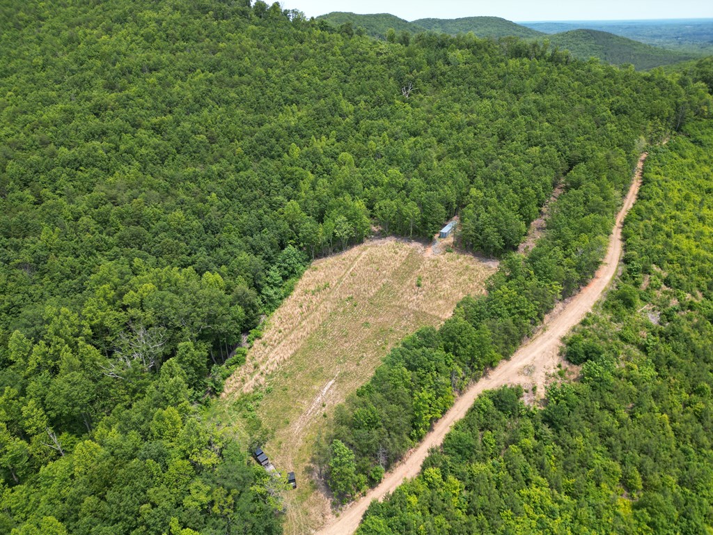 Discover Your Perfect Retreat in Virginia’s Scenic Piedmont