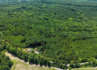 33 Acres of Prime Hunting Land in Southern VA