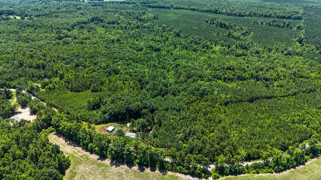 33 Acres of Prime Hunting Land in Southern VA