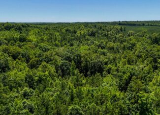 33 Acres of Prime Hunting Land in Southern VA
