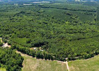 33 Acres of Prime Hunting Land in Southern VA