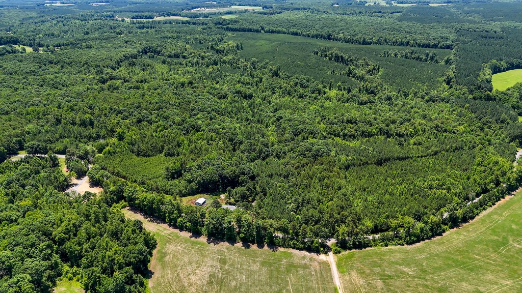 33 Acres of Prime Hunting Land in Southern VA