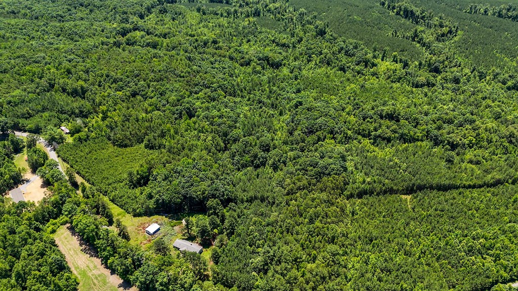 33 Acres of Prime Hunting Land in Southern VA